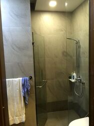 Wishart Road (D4), Condominium #448650261